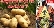 Sağlımız hiçe mi sayılıyor?
